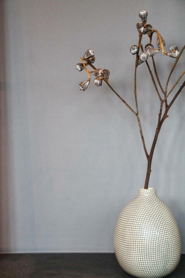 Junior Suite The Backyard Tby 01 Trier Bagian luar foto